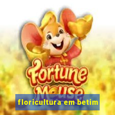 floricultura em betim